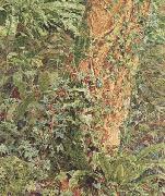 Albert Joseph Moore,ARWS Study of an Ash Trunk (mk46) oil painting picture wholesale